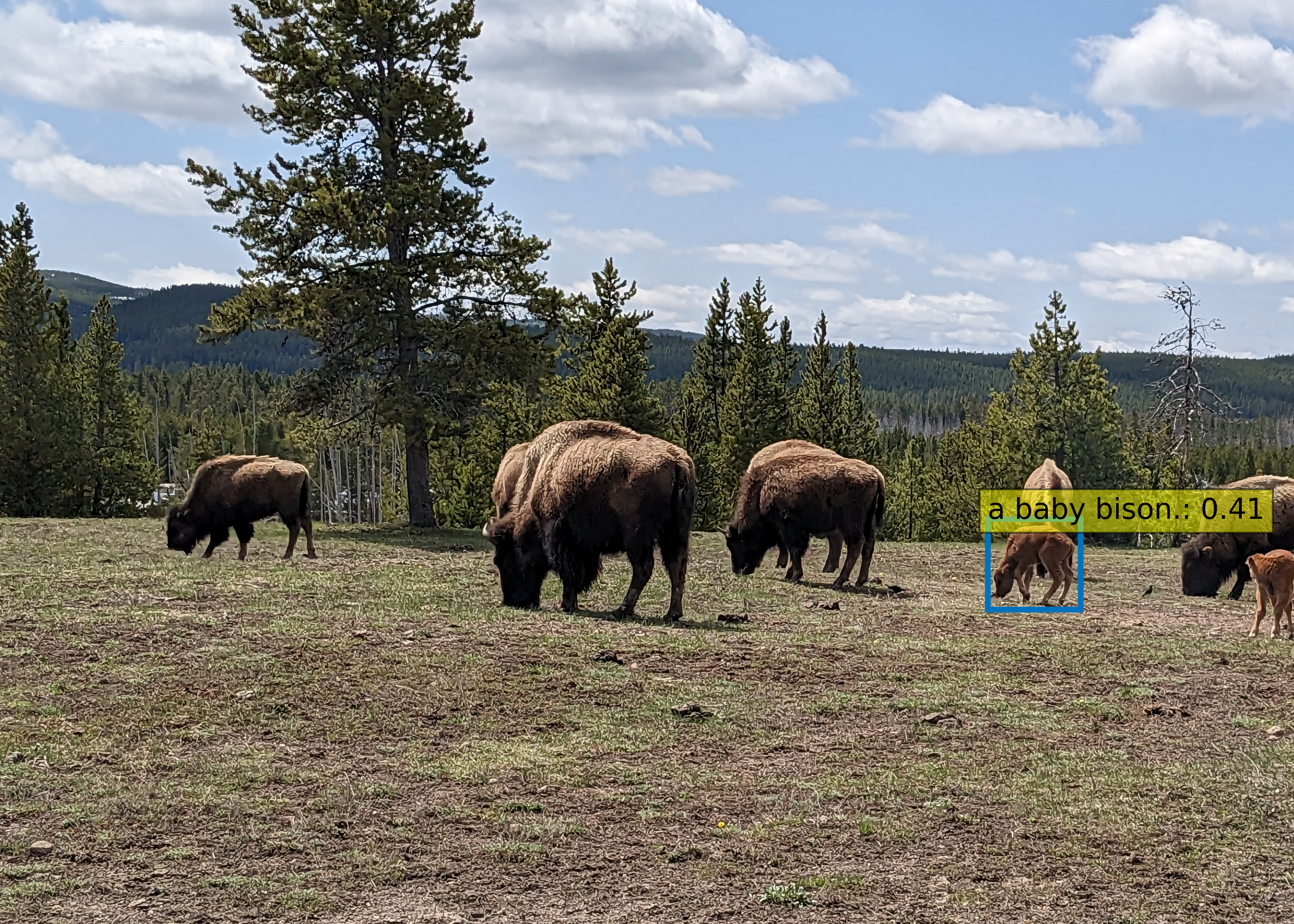 A basic Grounding DINO example