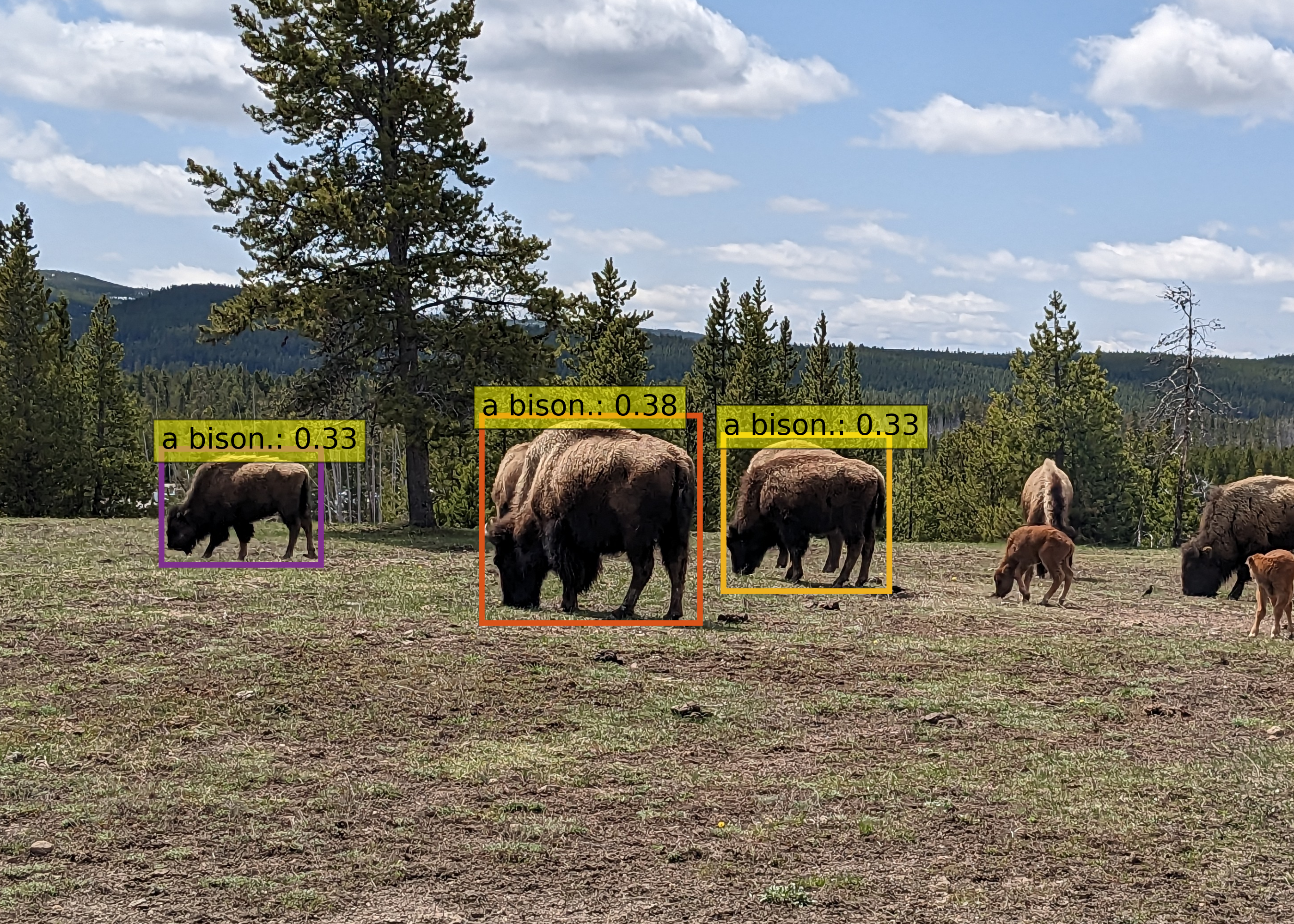 A basic Grounding DINO example